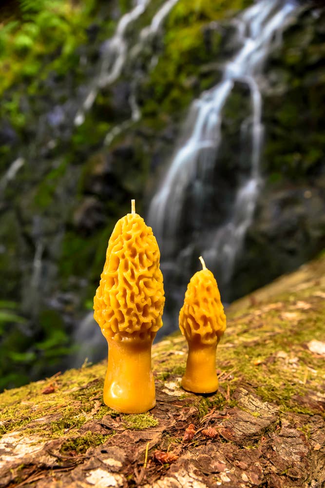 Waxing & Raining Handmade Goods - Vendita all'ingrosso Candele regalo - Candele a forma di fungo morchelle in pura cera d’api | Candela non tossica2