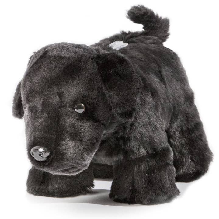 Black Lab Dog Coin Bank for wholesale by Carstens, Inc.