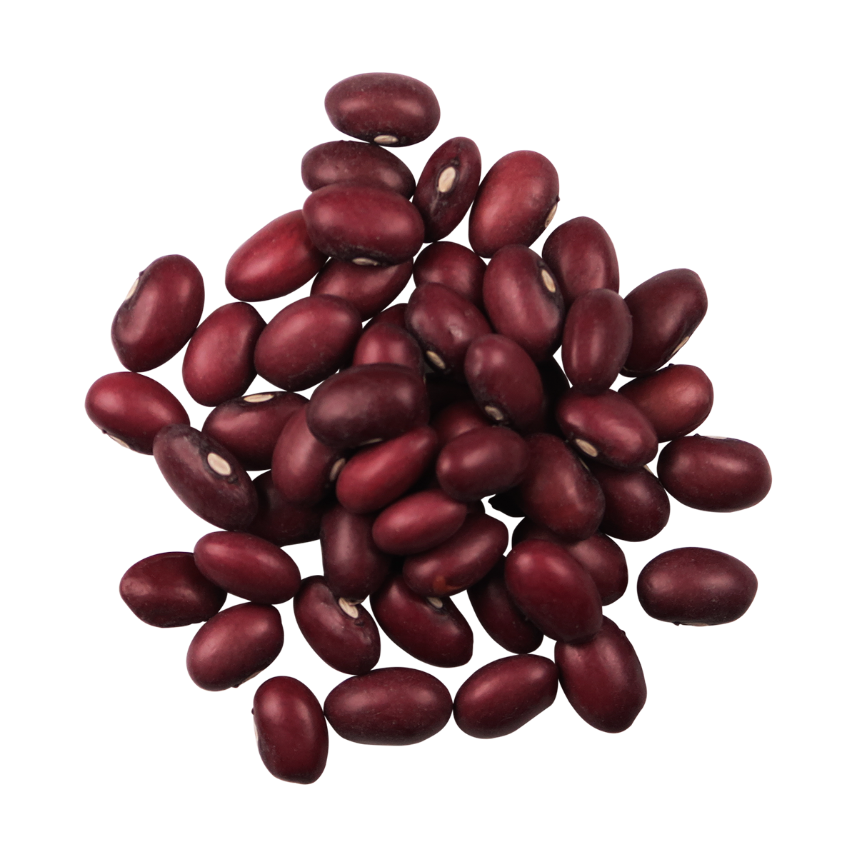 Edison Grainery - Wholesale Beans - Edison Grainery Organic Small Red Beans 16 oz1