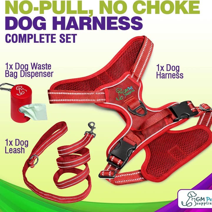 Katziela - Wholesale Pet Harness - Dog - Dog Harness Walking kit and Leash Set13