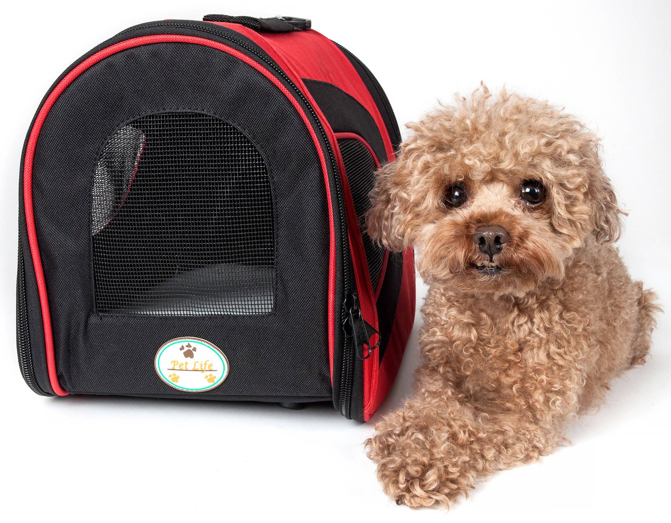 Pet Life - Vente Caisse de transport – chat et chien - Porte-animaux de compagnie pliable à fermeture éclair pour animaux de compagnie aérienne10