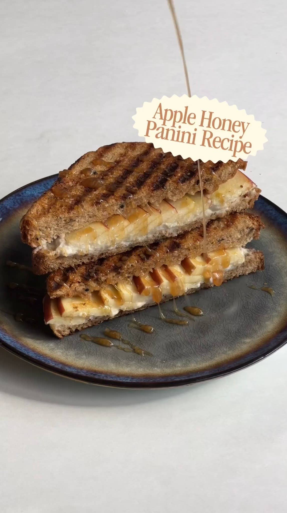 Harvesting Magic - Wholesale Honey - Sparkle Mushroom Honey5