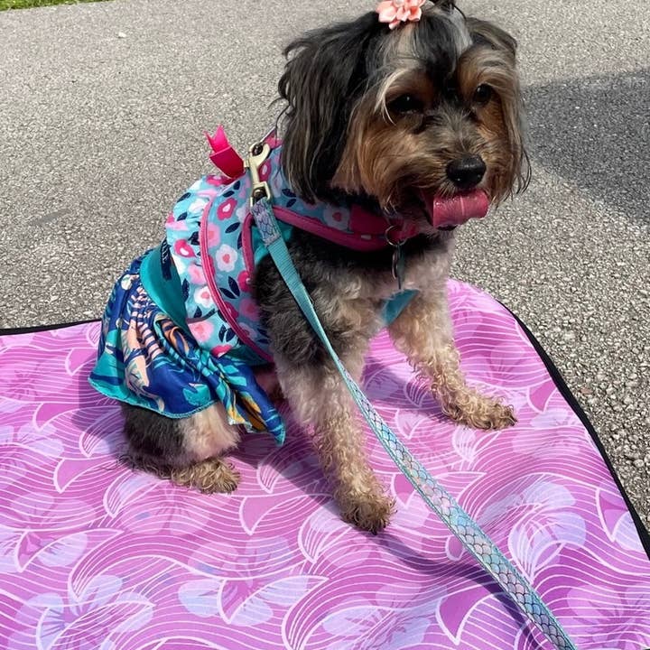 WagAround Town Dog Travel Mat - Medium 24" x 28" for wholesale by Wag Around Town