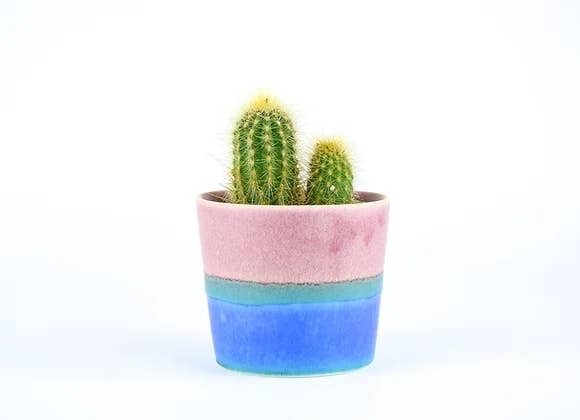 SGW LAB - Wholesale Plant Pot - SGW Lab Plant Pot PT008
