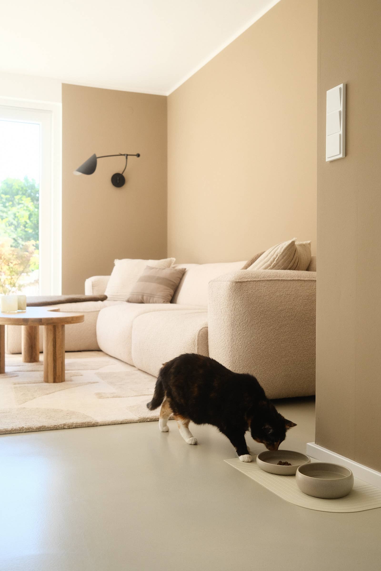 The Catery – Großhandel Futternapf – Katze/Hund – Gourmet Futternapf Creme2