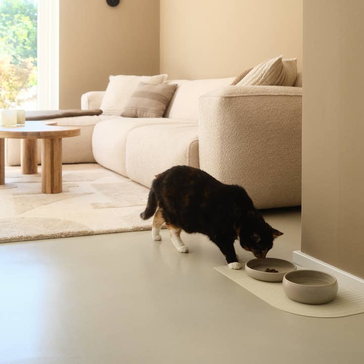 The Catery – Großhandel Futternapf – Katze/Hund – Gourmet Futternapf Creme2