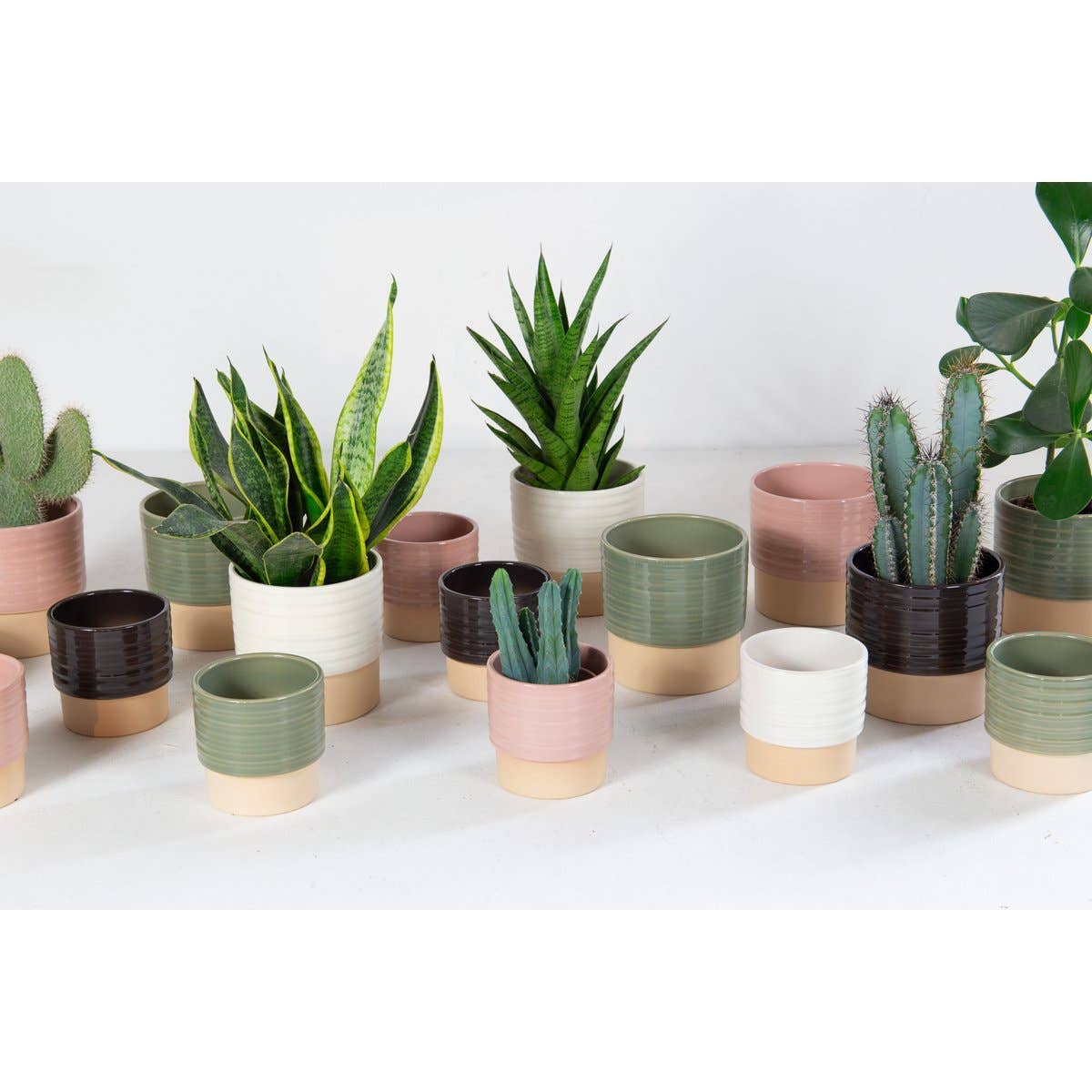 Ceramics Limburg – Großhandel Blumentopf – Cellos-Pot-Duo staubiges Rosa S1