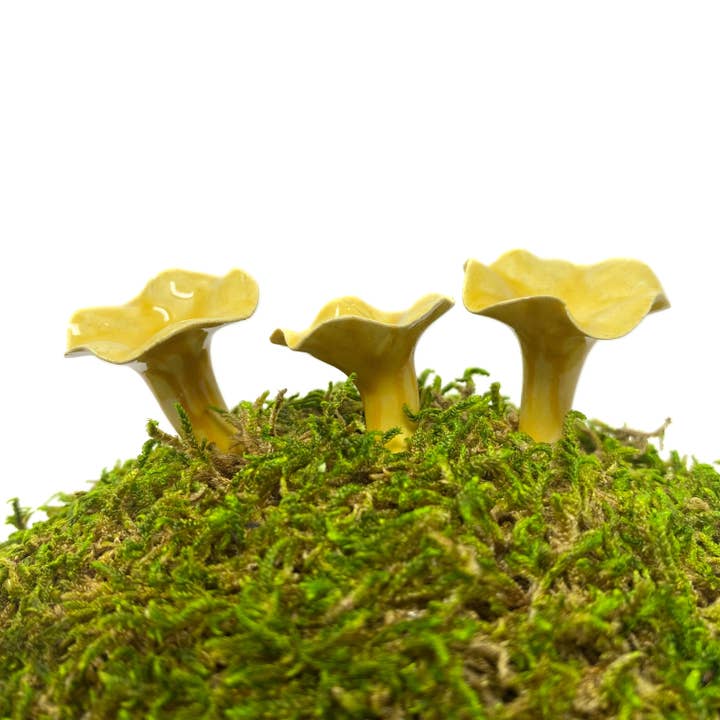 Miniature Chanterelle Mushrooms for wholesale by Handpicked Ceramics