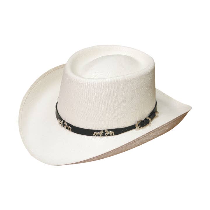 Paso Horse for wholesale by Montecarlo & Bullhide Hats