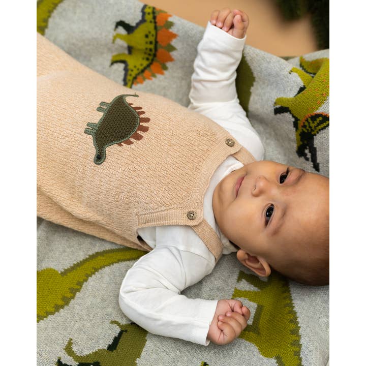 Oatmeal Heather Dino Embroidered Baby Knit Overall Set (Organic) for wholesale on Faire4
