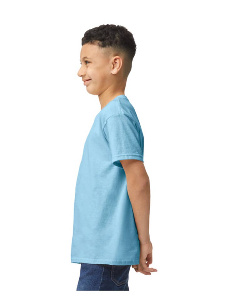 Down South Designer Customs - Wholesale T-Shirt - Kids - Gildan Heavy Cotton™ Youth T-Shirt67