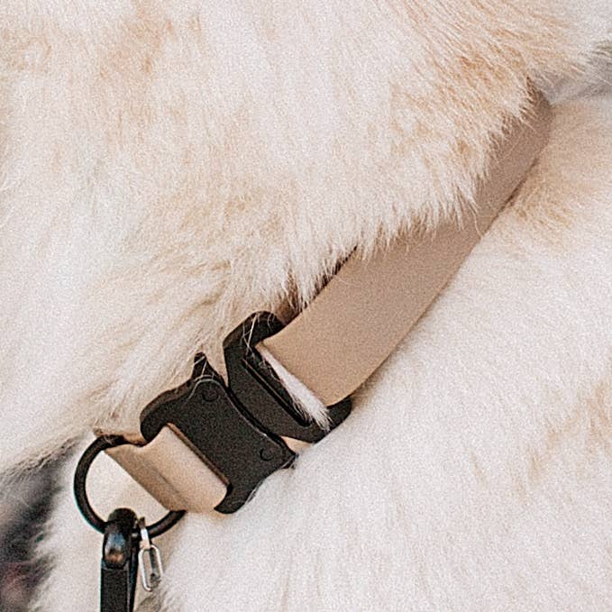 Collar ajustable AVA para perro para venta al por mayor de Lambwolf Collective