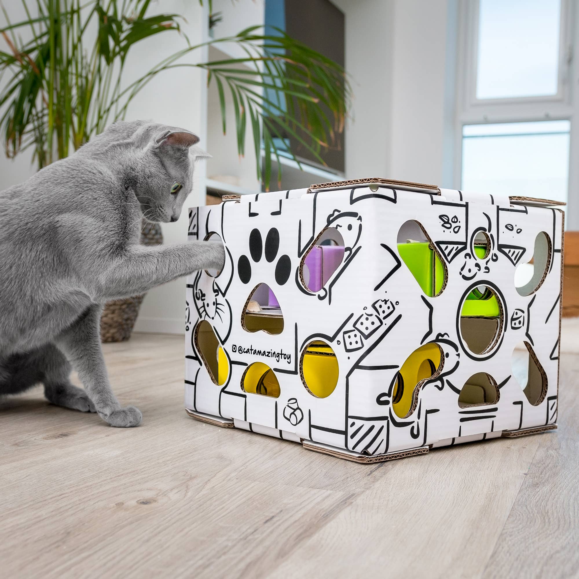 Cat Amazing - Wholesale Pet Toy - Cat - SLIDERS Interactive Cat Toy and Puzzle Feeder5