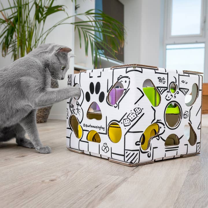 Cat Amazing - Wholesale Pet Toy - Cat - SLIDERS Interactive Cat Toy and Puzzle Feeder5