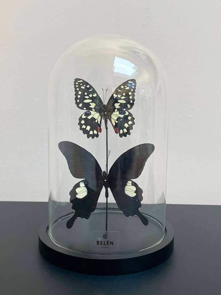 Lomé bell with black tones for wholesale by Belén Collection