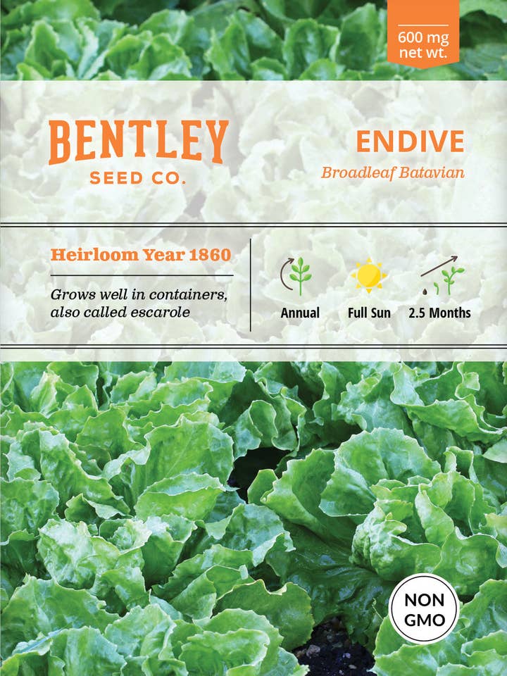 Endive, Broadleaf Batavian Seed Packets for wholesale by Bentley Seed Co.