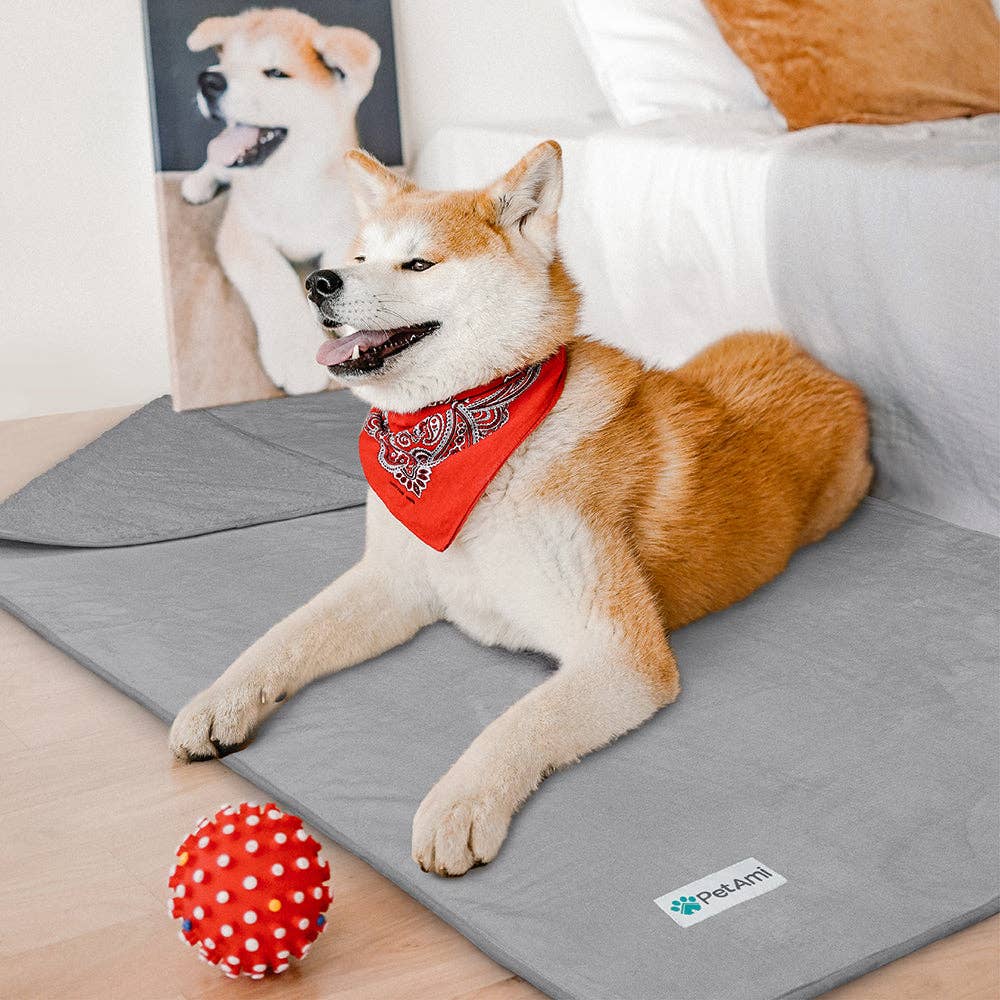 PetAmi - Venta al por mayor Manta - Gatos y perros - Manta impermeable para mascotas Sherpa64