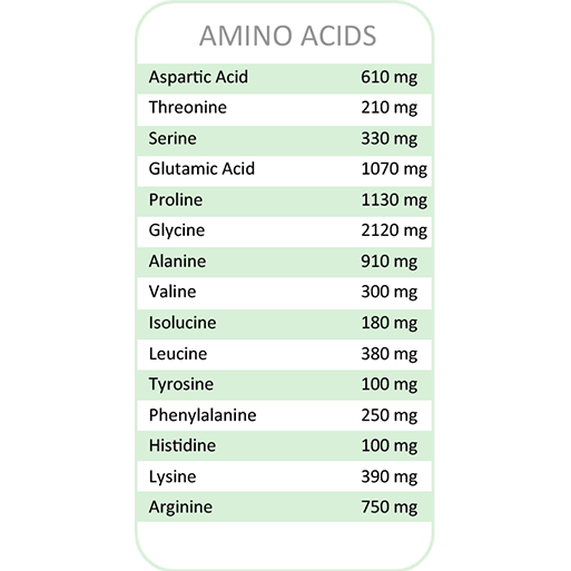 Autoimmune Health & Nutrition - Vendita all'ingrosso Proteine/superfood in polvere - Paleo Perfection Collagene Puro in Polvere Proteica4