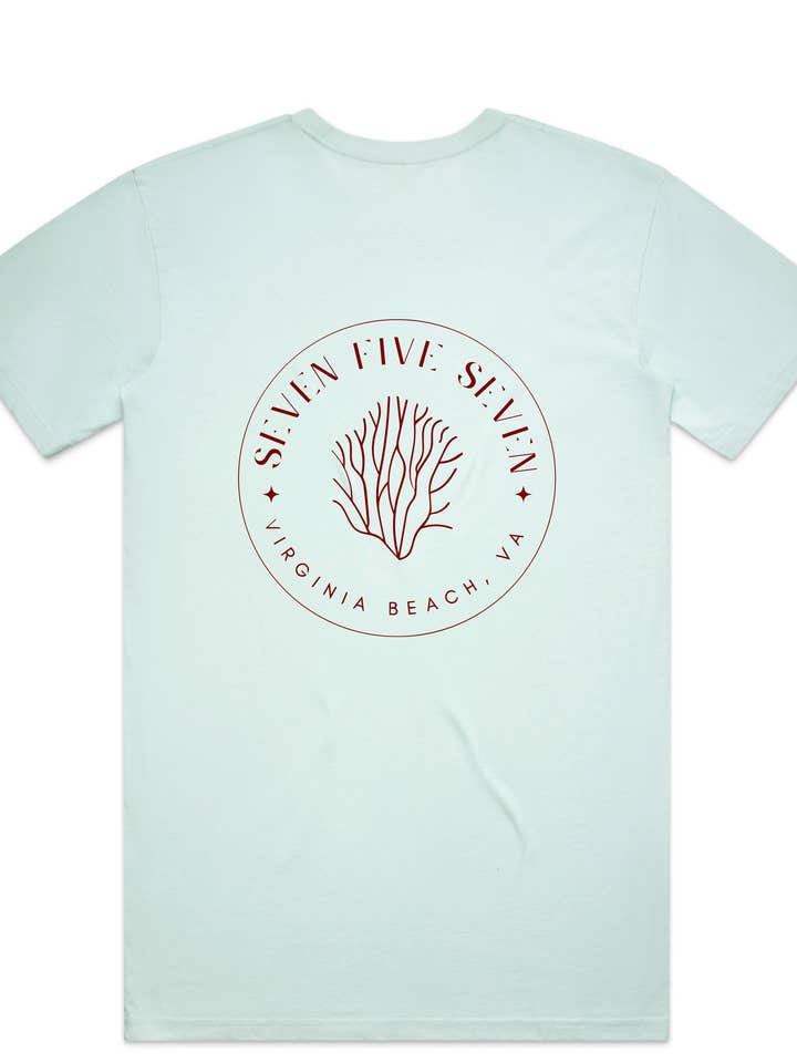 Salt & Sand - Wholesale Screen printed t-shirt – unisex - Reef Triblend Tee / Seafoam / Salt and Sand0