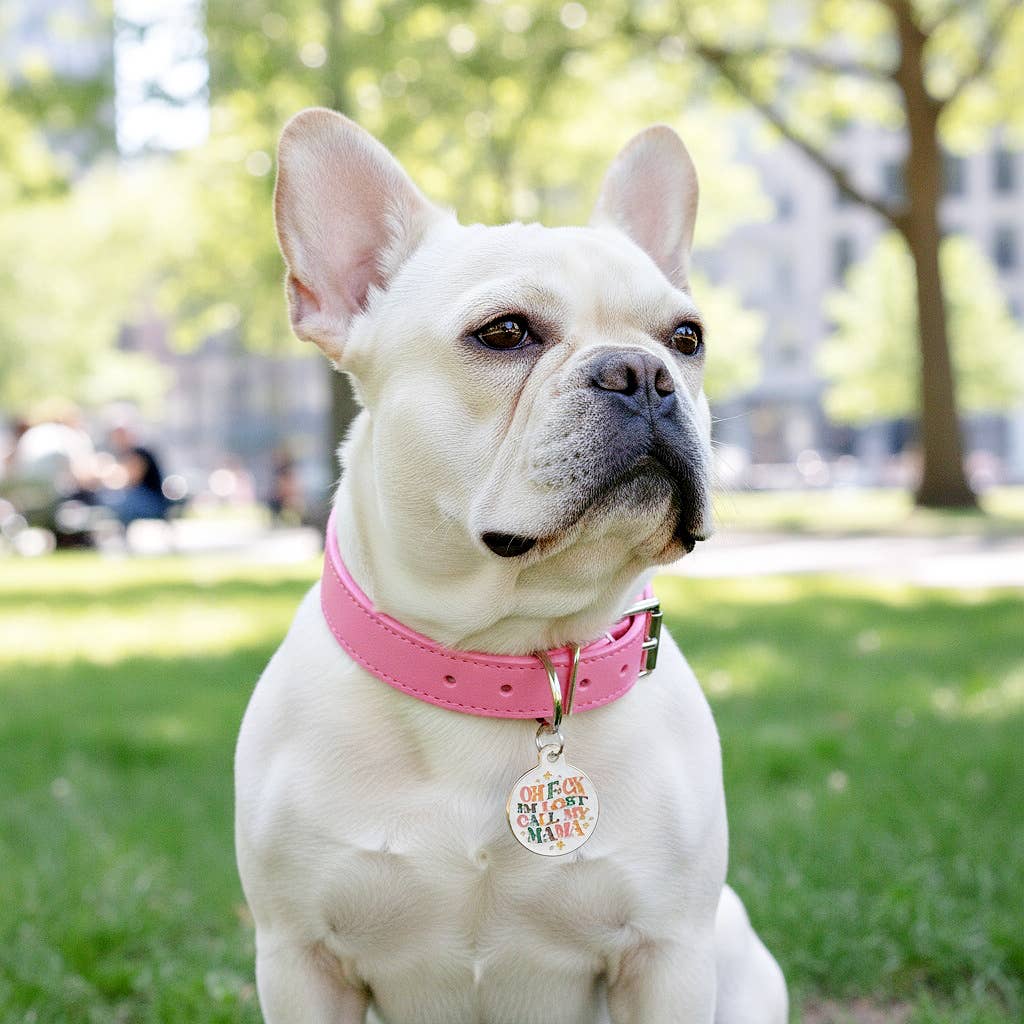 Bad Tags – Großhandel Haustiermarke – Katze/Hund – Emaille-Hundemarke mit scannbarer ID - Verdammt, ich bin verloren, ruf Mama an4