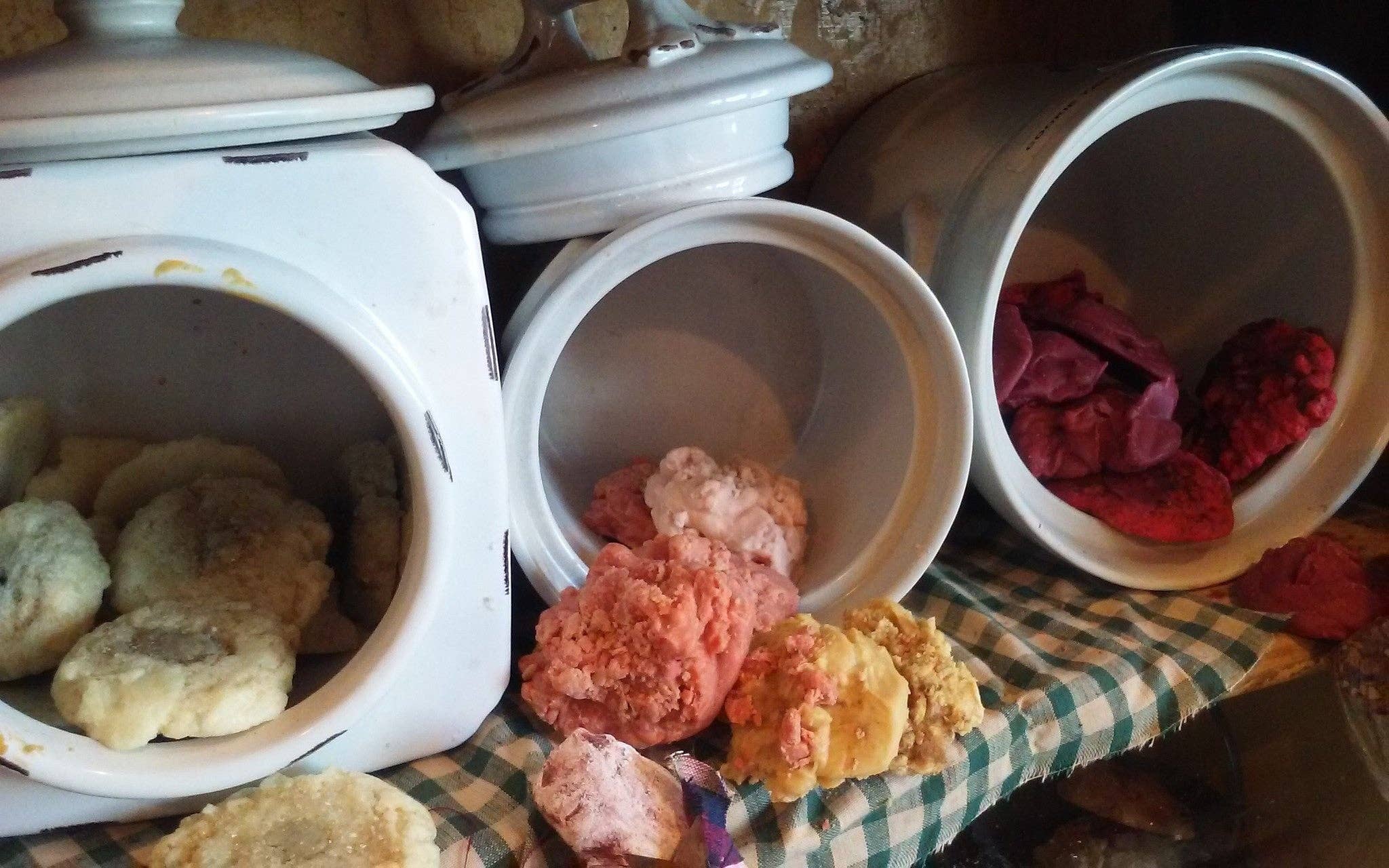 Frog on a Limb Primitives - Wholesale Wax Melt - Single Cookie wax melts1