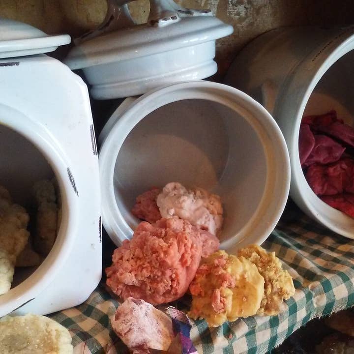 Frog on a Limb Primitives - Wholesale Wax Melt - Single Cookie wax melts1