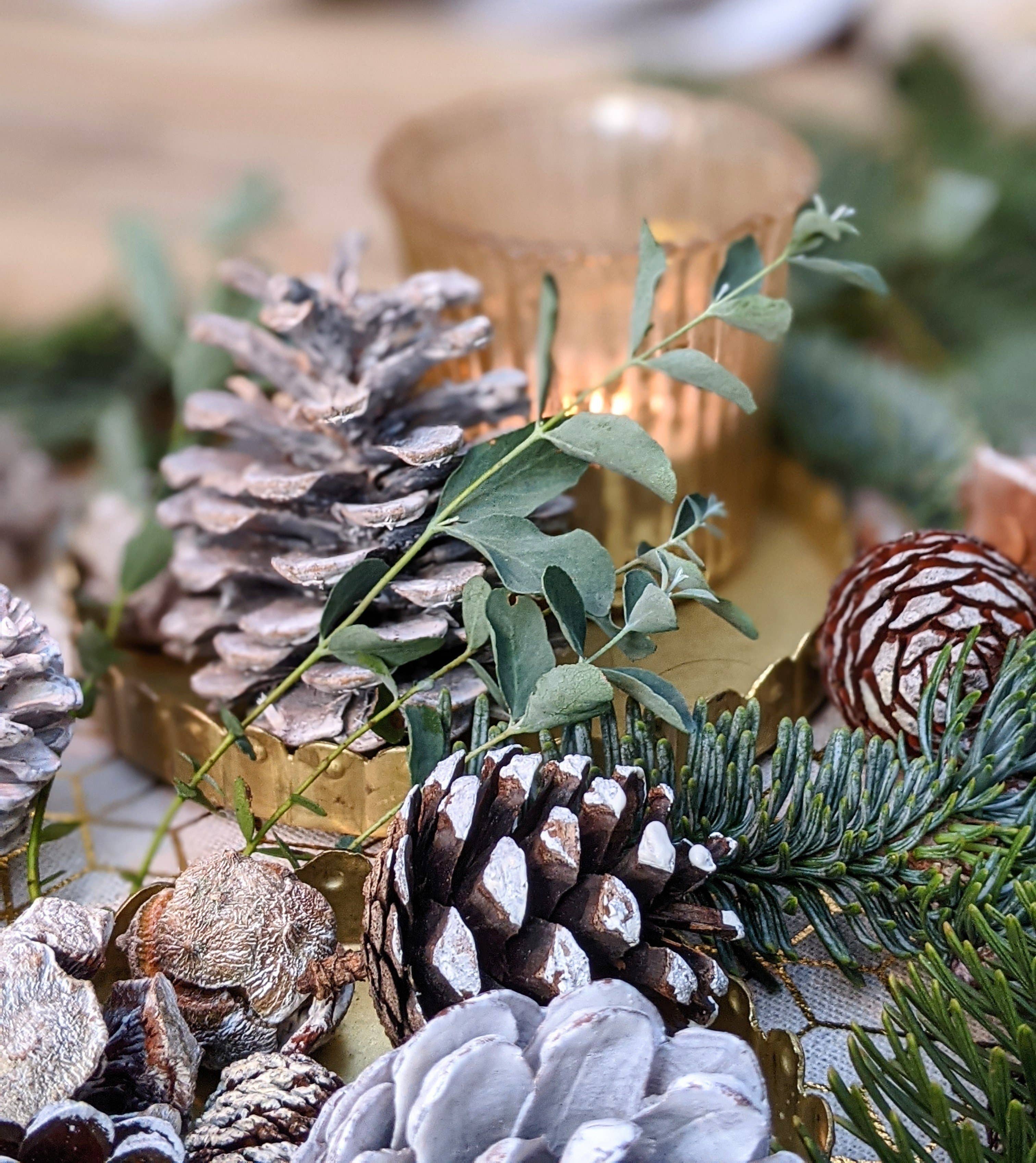 The Danes – wholesale Christmas decoration – Natural Mixed White Pine Cones - WHITE CHRISTMAS4
