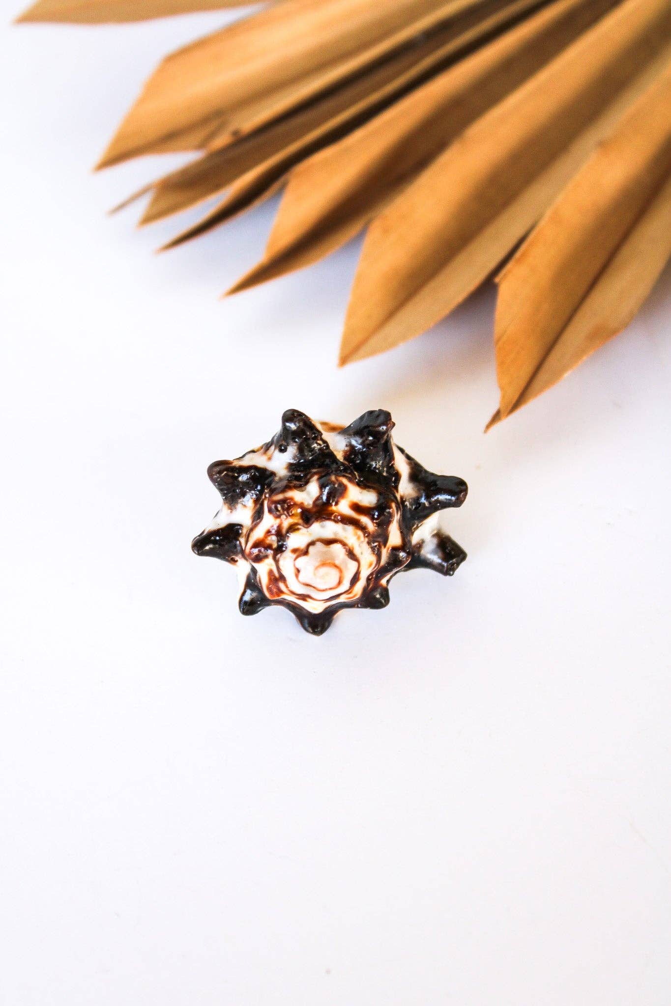 Bali Queen - Wholesale Cocktail/Statement Ring - Bali Shell Rings5