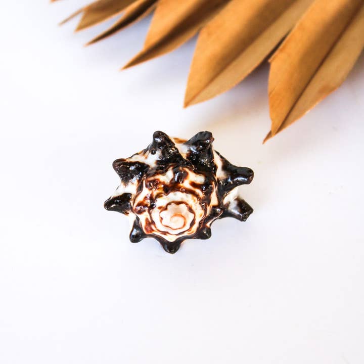 Bali Queen - Wholesale Cocktail/Statement Ring - Bali Shell Rings5