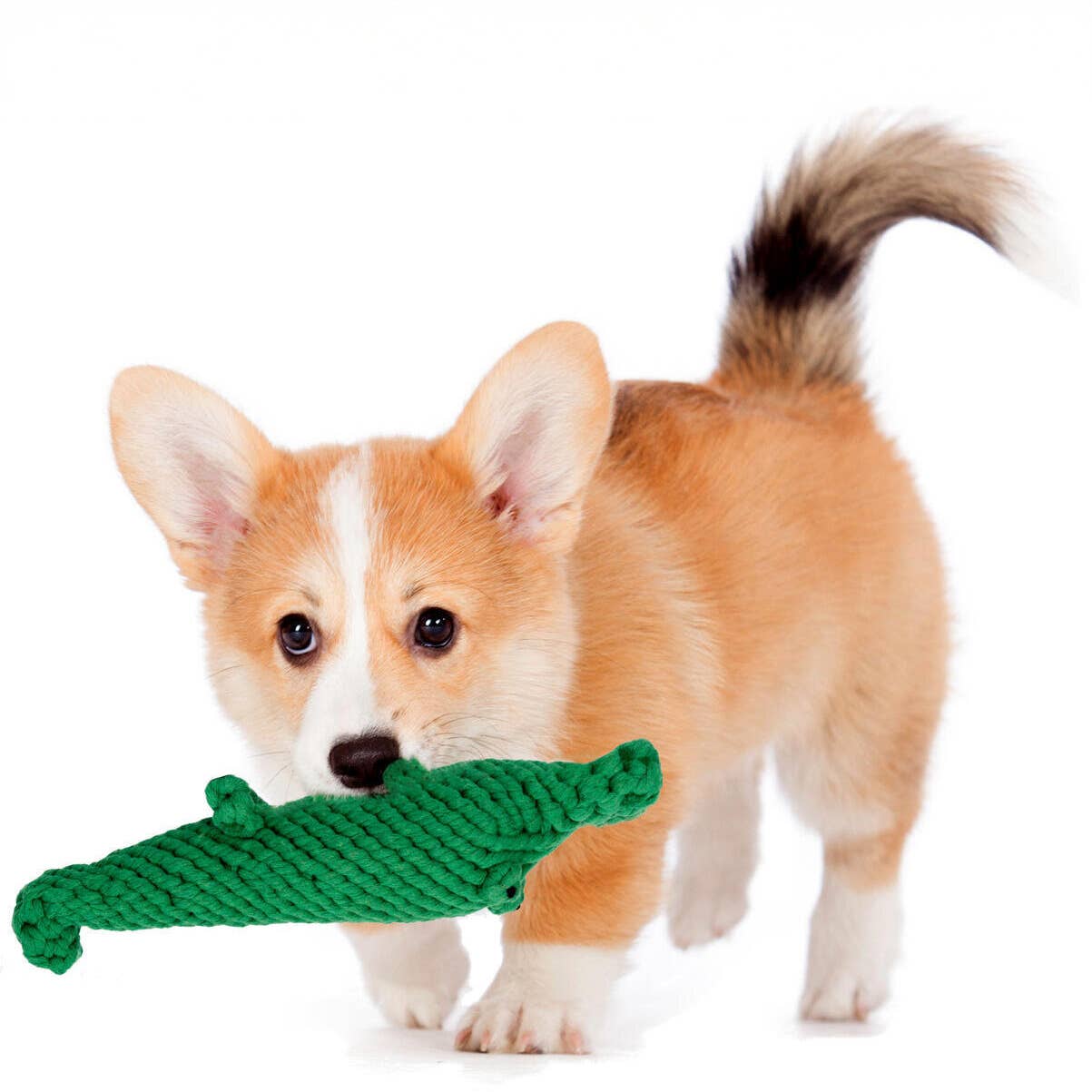 LABONI - Volentis GmbH - Wholesale Pet Chew Toy - Dog - KALLI KROKODIL – The Gentle Giant with Play Value8