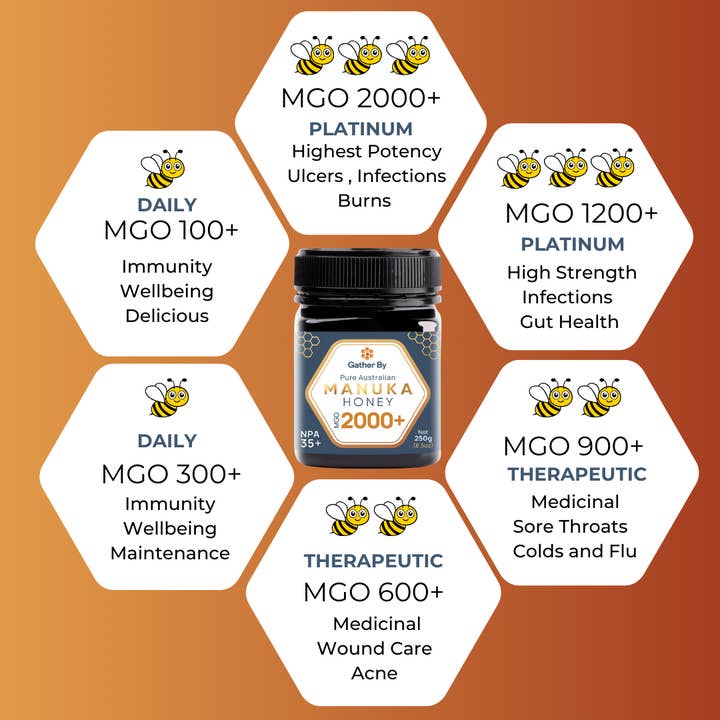 Gather By Manuka - Wholesale Honey - Manuka Honey MGO 100+ | NPA 5+ (For UK)1