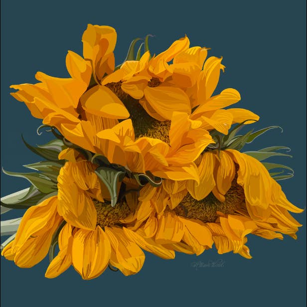 Weeping Sunflower on Navy Art Print | Sunflower Artwork for wholesale by Homeward Studio