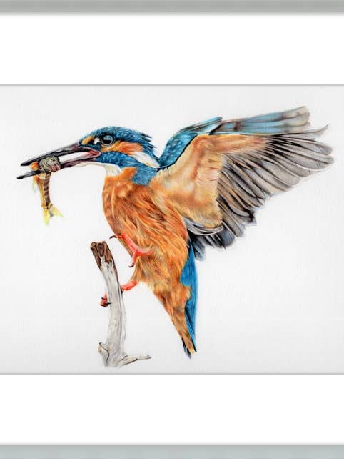 Kings Catch II pour la vente par Gavalina