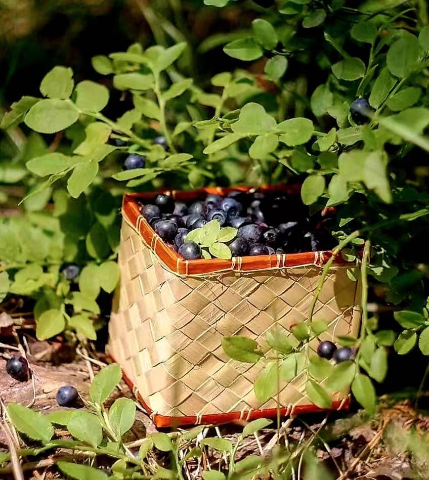 Nordic native pristine - Vente Supplément oral/vitamine - Méga vitamine pour les yeux à la myrtille19