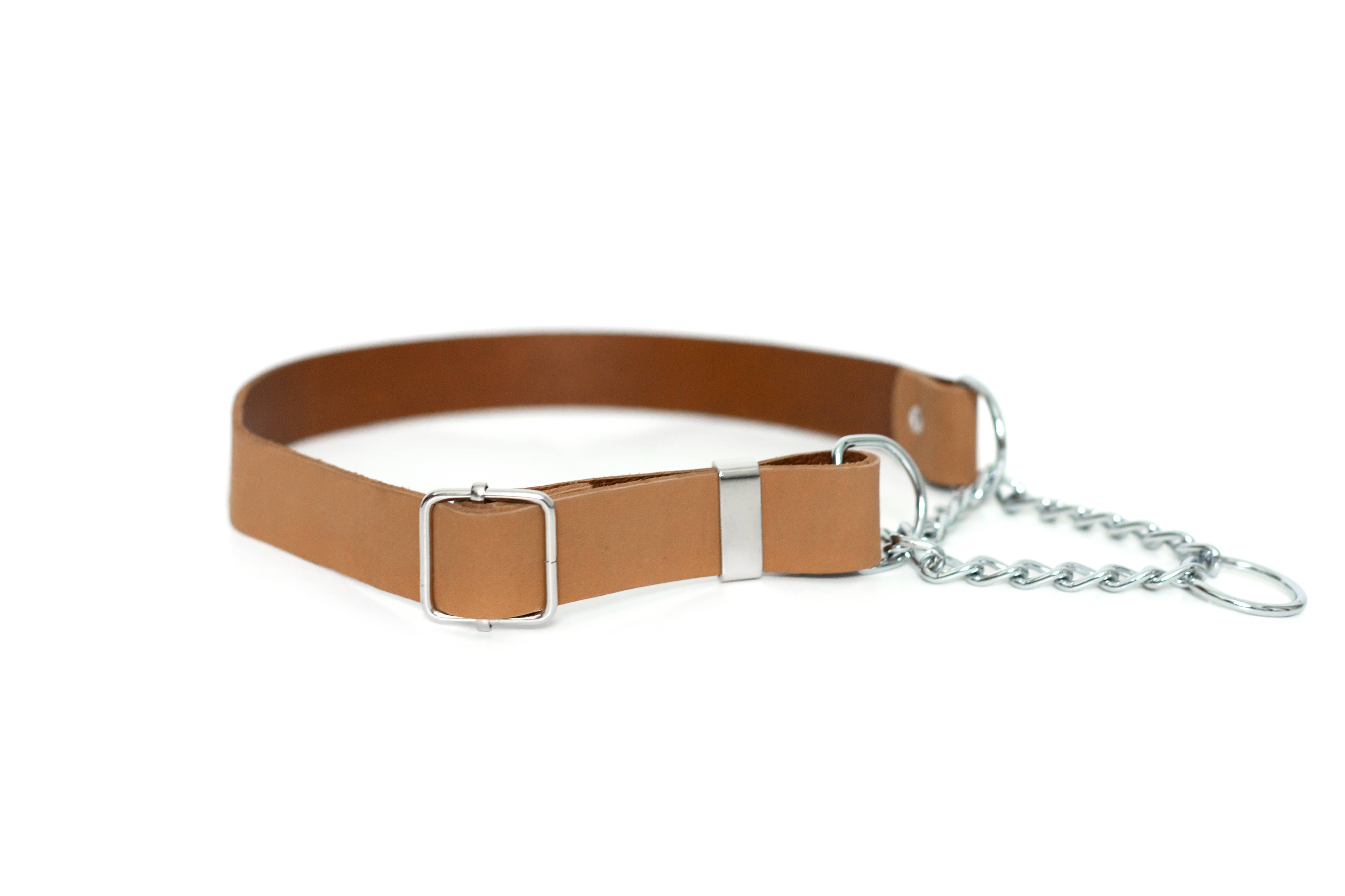 Euro-Dog Collars and Leads - Wholesale Pet Collar - Dog - Leather Dog Collar Martingale Soft Modern Style4