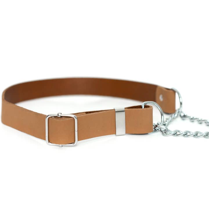 Euro-Dog Collars and Leads - Wholesale Pet Collar - Dog - Leather Dog Collar Martingale Soft Modern Style4