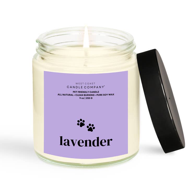 West Coast Candle Company - Vendita all'ingrosso Candela in vasetto - Candela alla lavanda