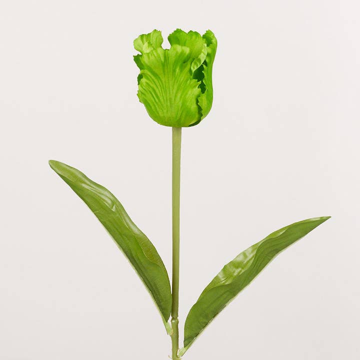 Factory Direct Craft - Vendita all'ingrosso Fiori finti - Steli di Tulipano Pappagallo Artificiale da 21" - Seleziona Colore