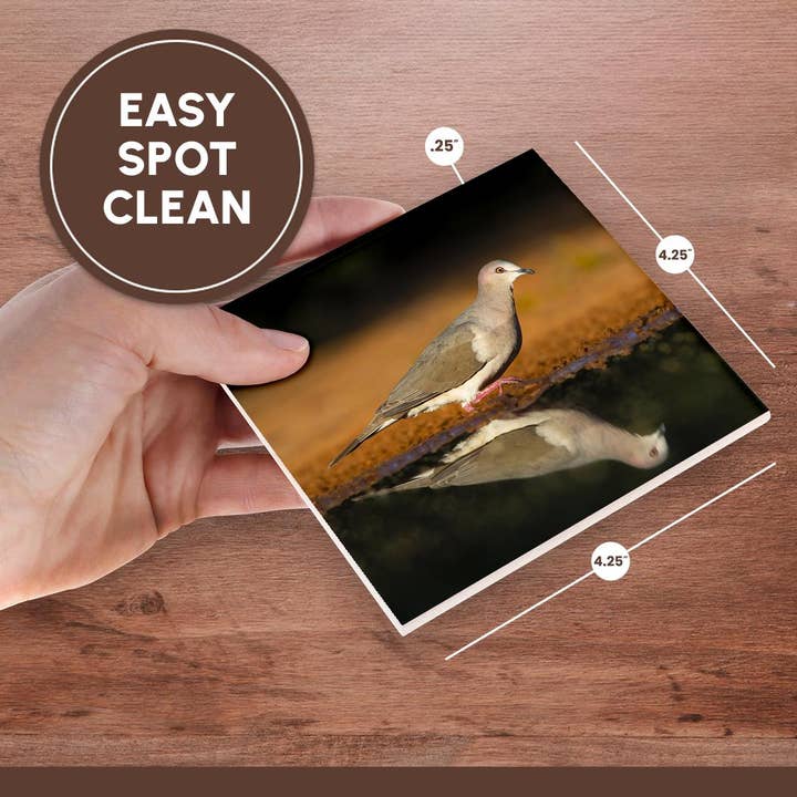 3dRose - Wholesale Coasters - 3dRose, White-tipped dove, Leptotila verreauxi by pond., Coaster6