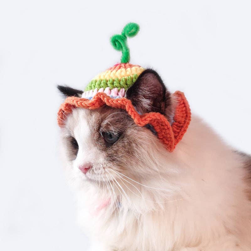 Cheerhunting - Wholesale Pet Hat - Dog - Ozzie - Rainbow Pet Knit Hat1