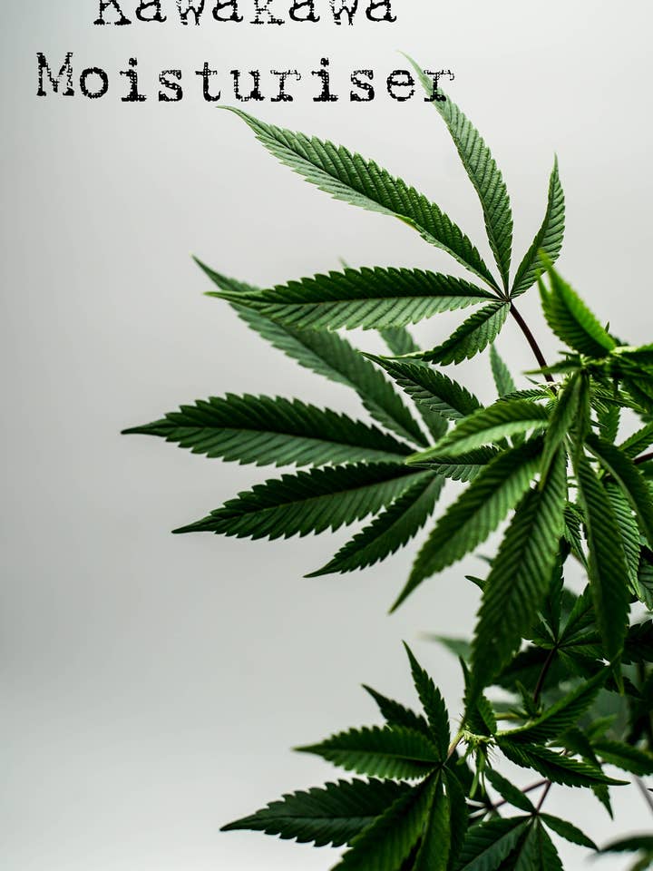 Hemp & Kawakawa Feuchtigkeitscreme für den Großhandel von Soultime Skin Care Ltd