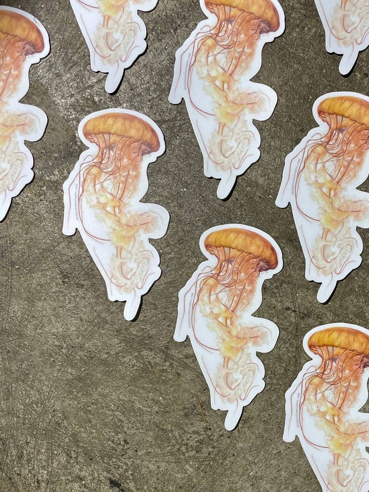 jellyfish - sticker for wholesale by stück in the studio