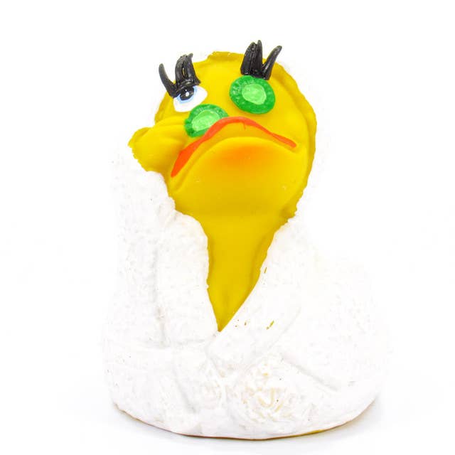 Ducks in the Window - Wholesale Bath Toy - Baby - Spa Wellness Rubber Duck