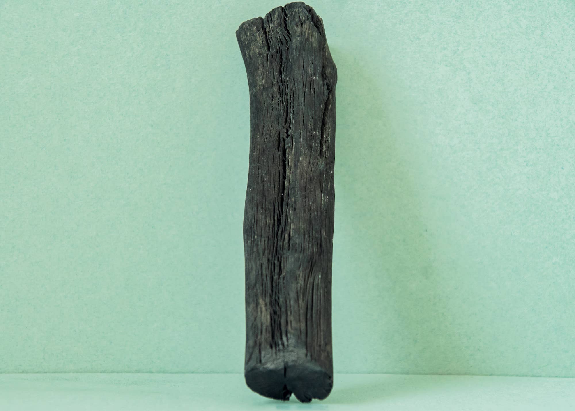 Kyuké - Wholesale Water Filter - Binchotan Size XL bulk - Activated carbon water purifier1