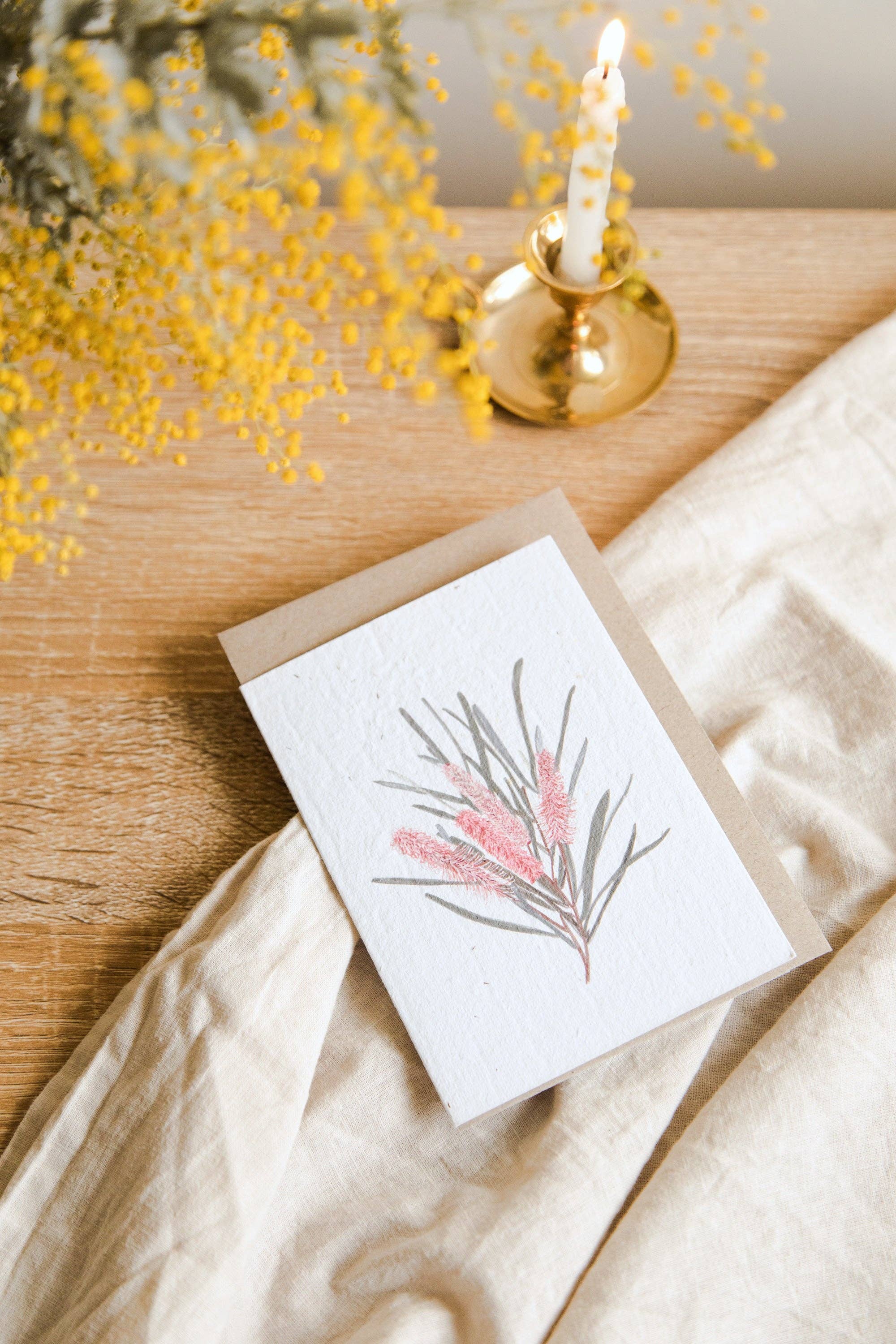 treasureinventory - Venta al por mayor Tarjetas de felicitación - Botánicos Australianos // Tarjetas Plantables // Paquete de 27 Tarjetas5