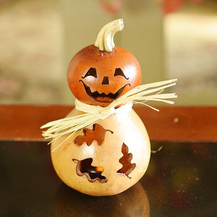 Dexter - Miniature pour la vente par Meadowbrooke Gourds