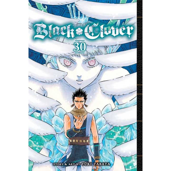 Simon & Schuster - Wholesale Book - Adult - Black Clover, Vol. 30 by Yuki Tabata
