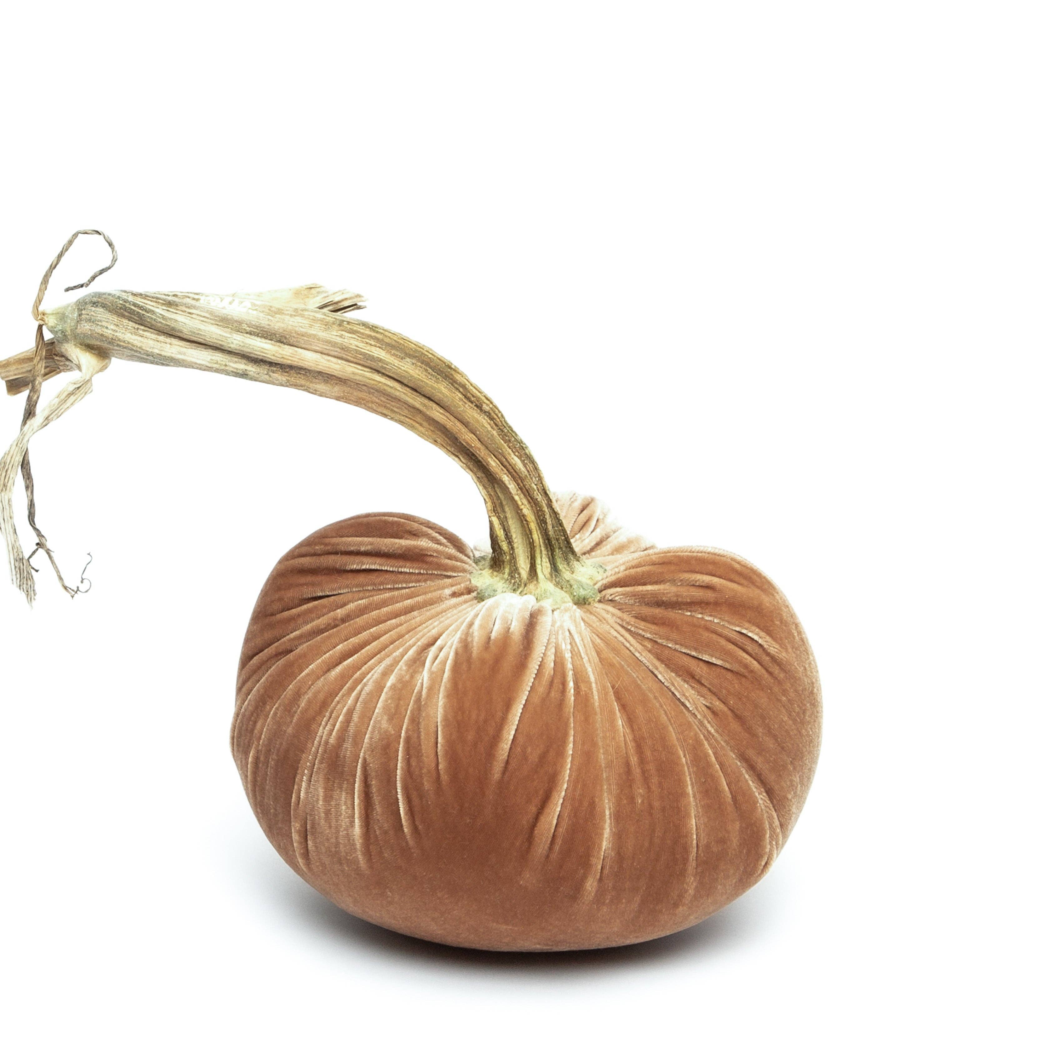 Hot Skwash - Wholesale Decorative Tabletop Object - Latte Silk Velvet Pumpkin2