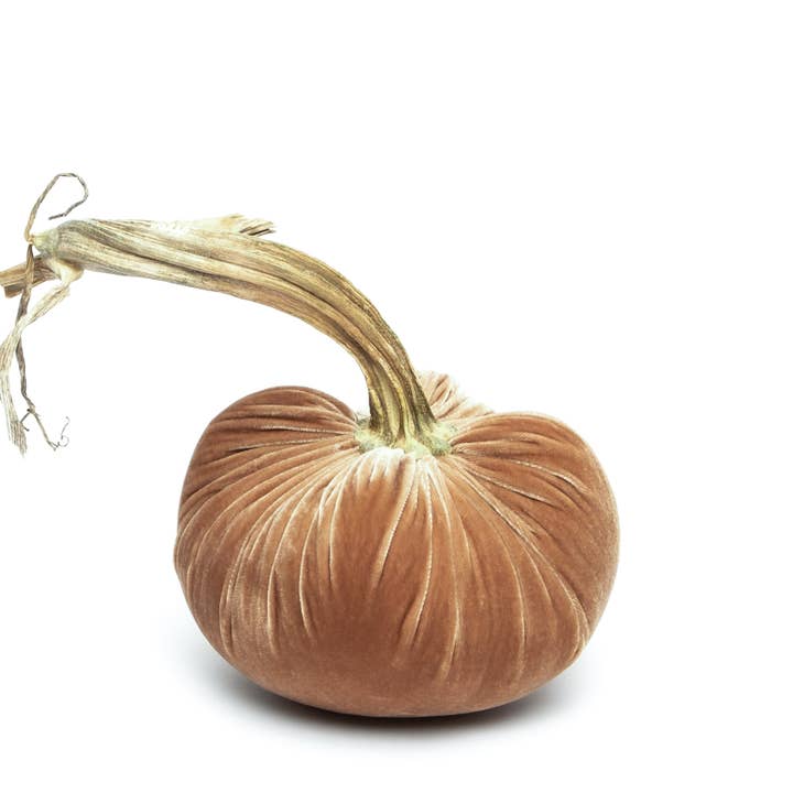 Hot Skwash - Wholesale Decorative Tabletop Object - Latte Silk Velvet Pumpkin2