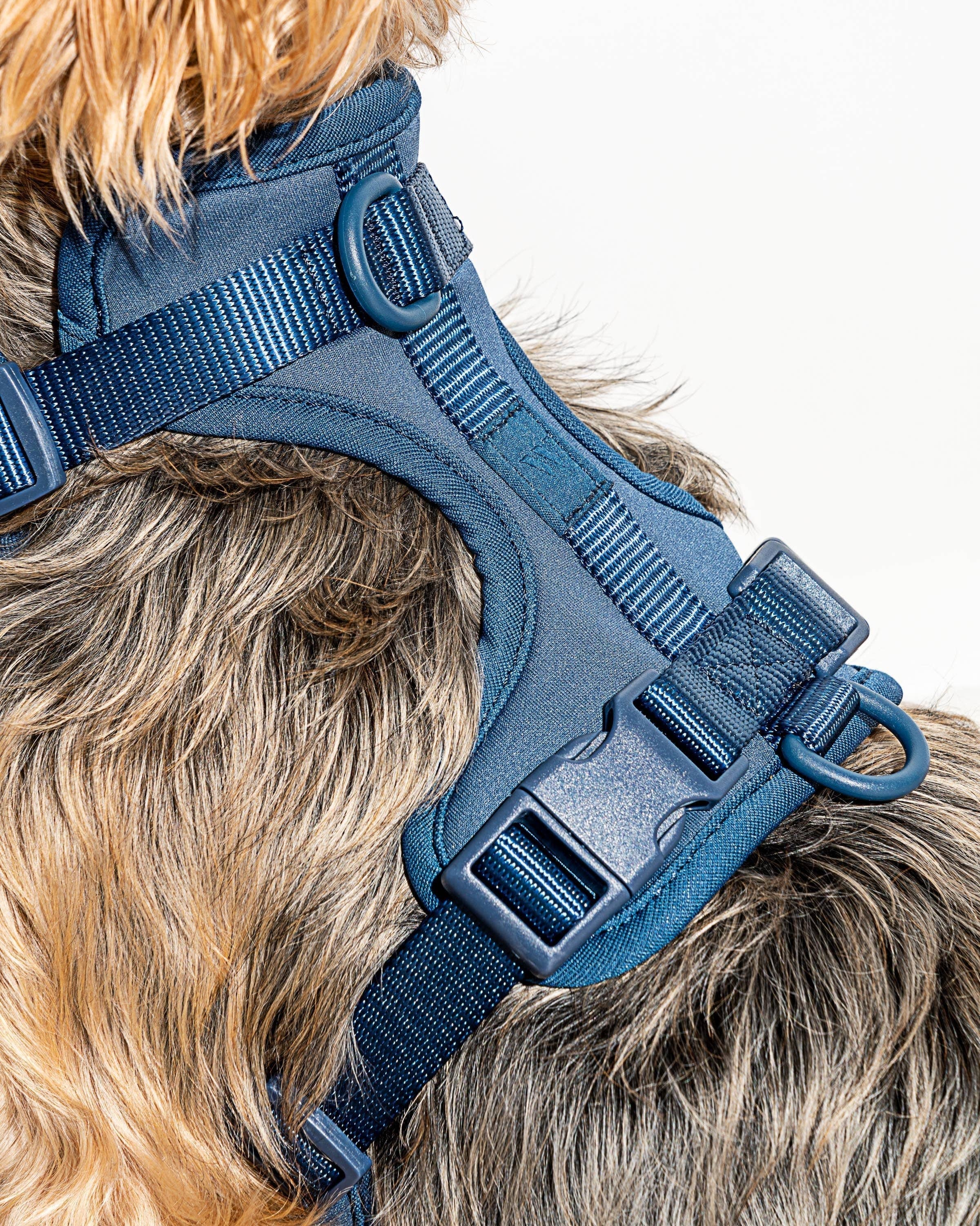Wild One - Wholesale Pet Harness - Dog - Harness34